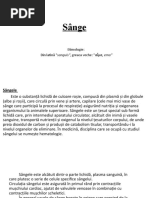 Prezentare 4