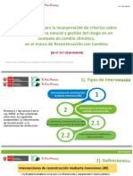 Tema 8 Lineamientos Incorporacion de Criterios Sobre Infraestructura Natural y Gestion Del Riesgo