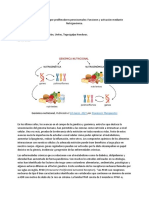 Receptores Activados Por Proliferadores Peroxisomales