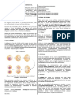 Divisão Celular - 2 Bim - Parte I - 2021