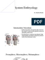Embryology and Congenital Anomalies of The Renal System