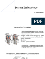 Renal System Embryology: Dr. Manisha Hansda