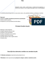 5-Aula de Histologia Sistema Tegumentar e Anexos 5