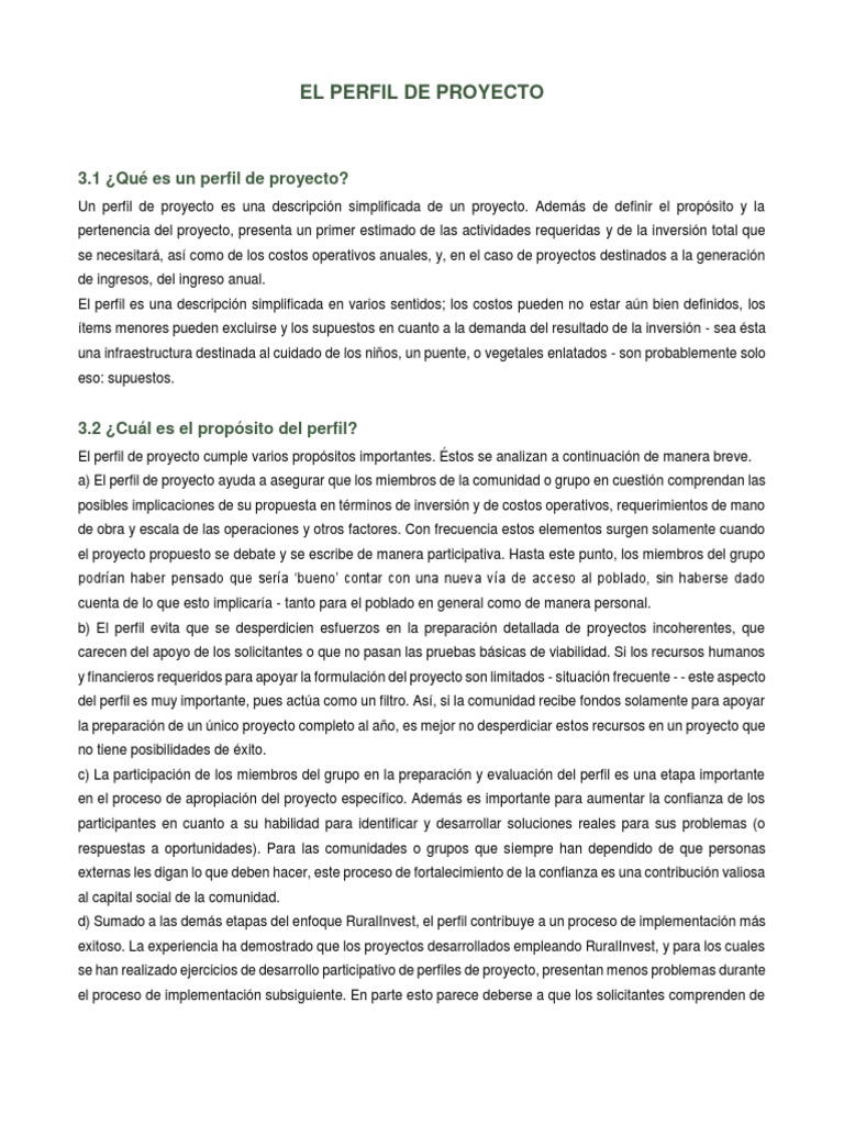 Definición y Propósito del Perfil de Proyecto | PDF | Costo | Mercado ...