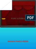 Panca Indra