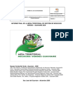 Informe Final Mesa Territorial de Gestion Negocios Verdes Guaviare 2020