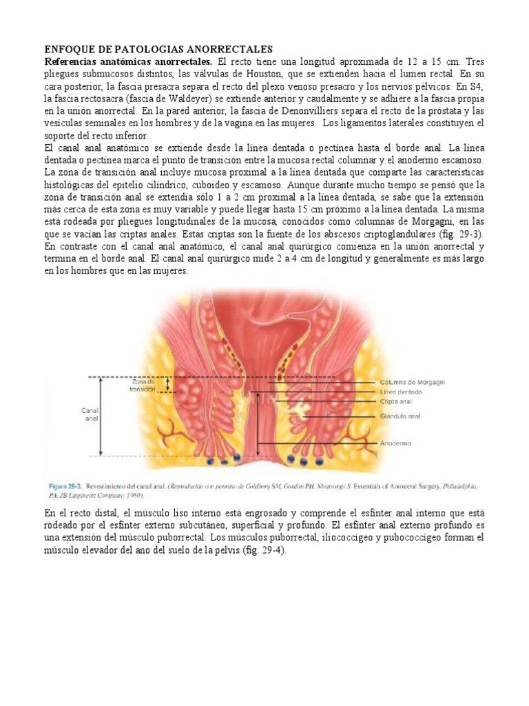 Patología Anorrectal | PDF | Hemorroides | Herpes Simple