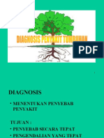 Diagnosis Penyakit