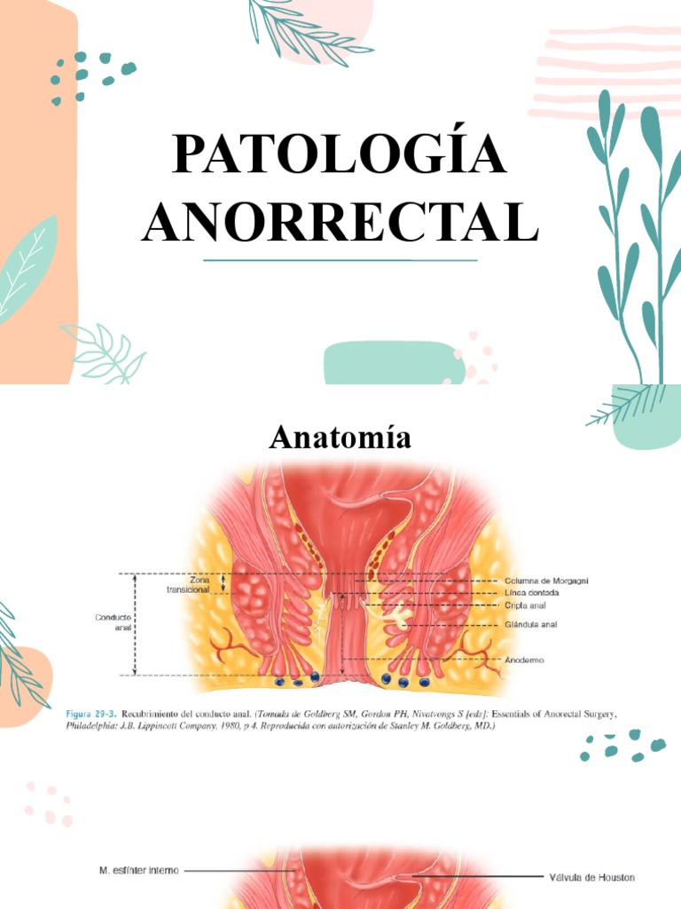 Patología Anorrectal | PDF | Hemorroides | Medicina CLINICA