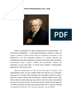 Aula 20 - ARTHUR SCHOPENHAUER