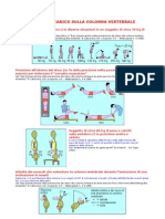 Esempi Di Carico Sulla Colonna Vertebrale