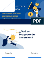 5.1 Los Proyectos de Inversión.