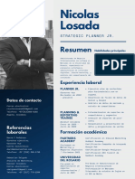 CV - Nicolas Losada Saldaña