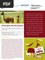 Dia Del Animal Secuencias Didacticas1