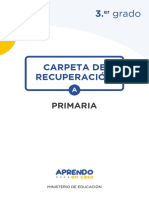 CARPETA RECUPERACION 3° GRADO PRIMARIA