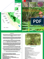 Manual del cultivo de la Palma Aceitera