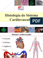 AULA 3- Histologia do Sistema Cardiovascular