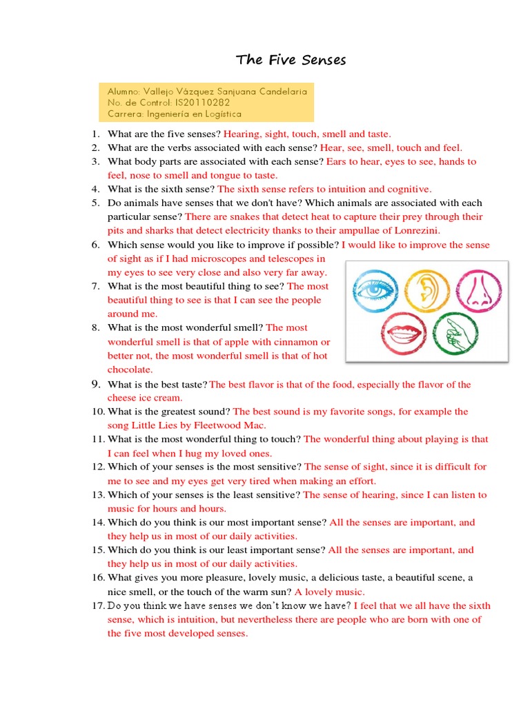 1.4 - Questions The - Five - Senses - Vallejo - Vázquez | PDF | Senses ...