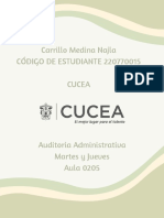 Actividad 3. Tipos de Auditoria Administrativa - CarrilloMedinaNajla