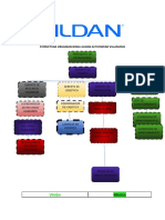 Estructura Organizacional - Gildan VILLANUEVA