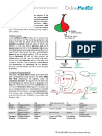 Endocrine - Posterior Pituitary