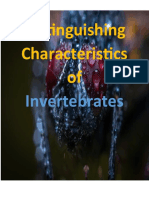 Distinguishing Characteristics of Invertebrates