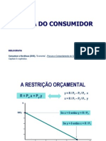 Economia Teoria Consumidor