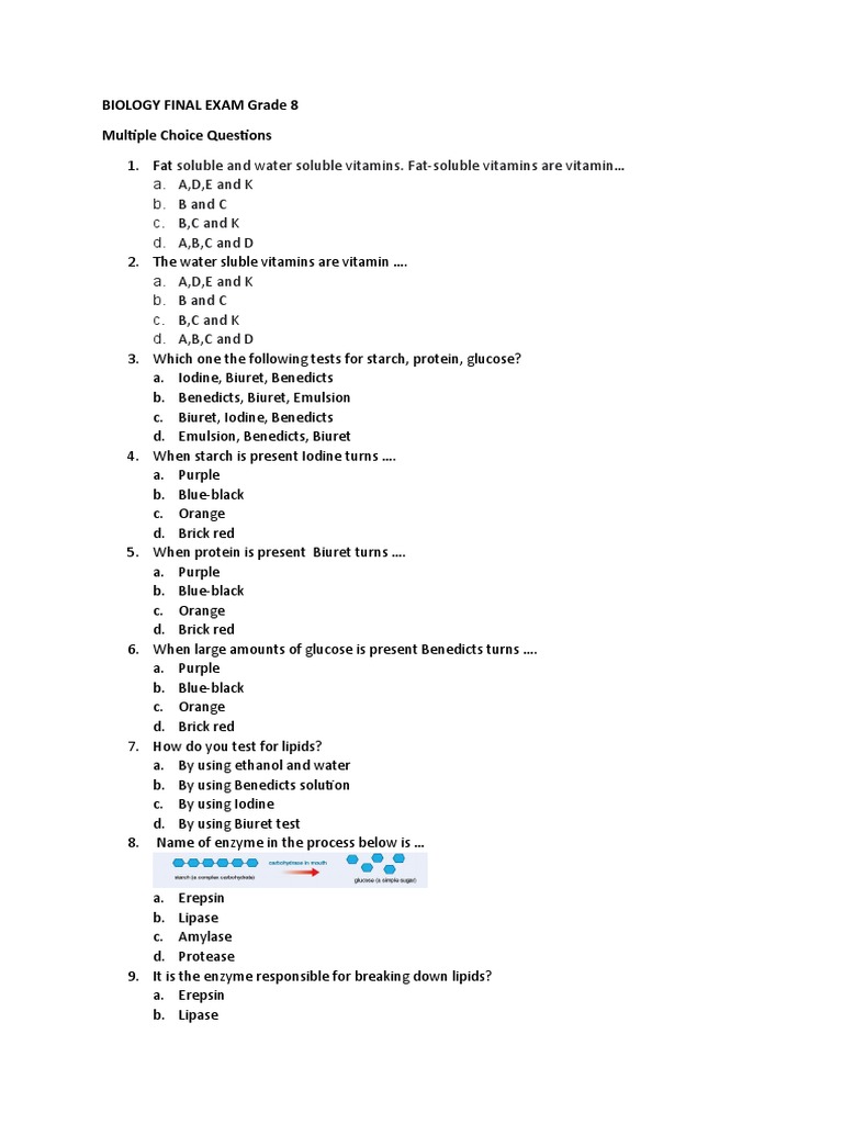 Grade 8 Biology Final Exam Questions | PDF | Bone | Leaf