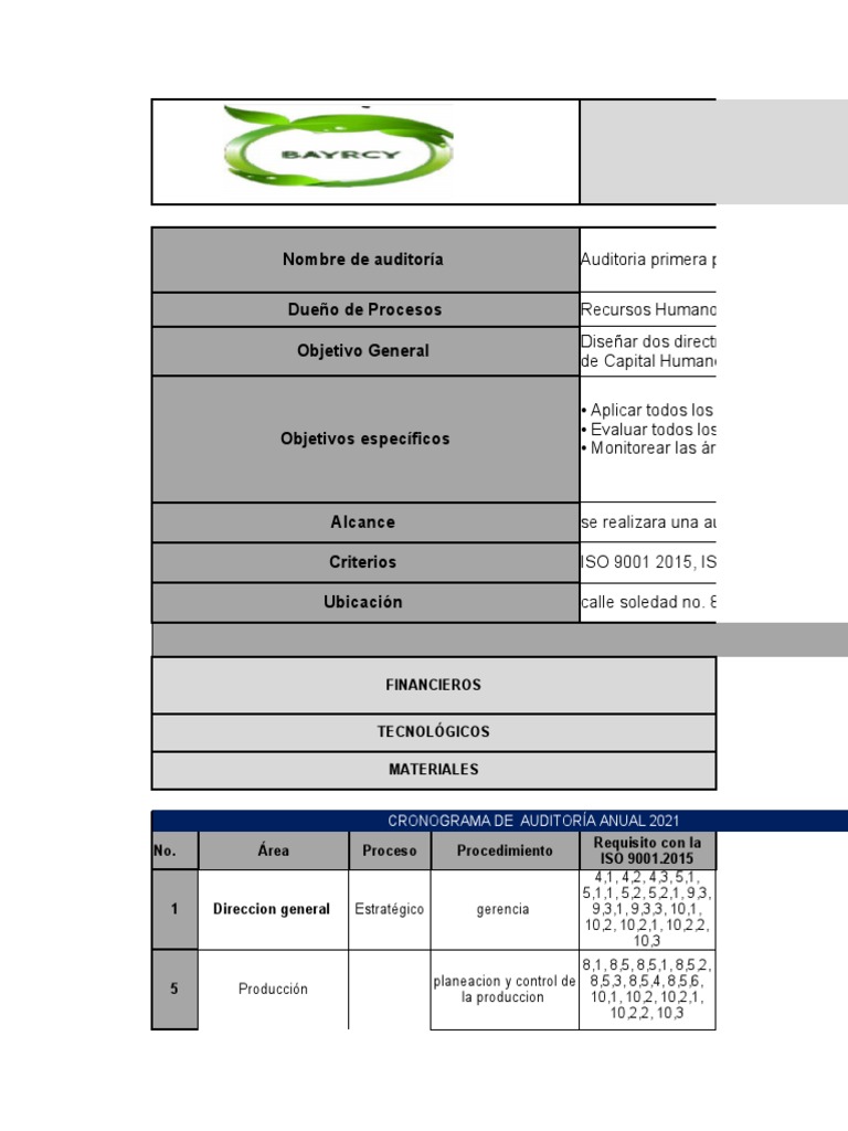 Plan Anual de Auditoría Interna 2021 | PDF | Auditoría | Business