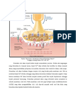 Neumuscular Junction