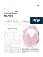 Head and Neck Tumor Pathology
