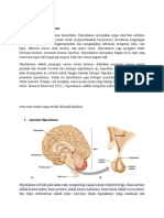 HIPOTALAMUS