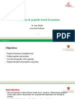 L 3 Proteins Peptide Bond Formation