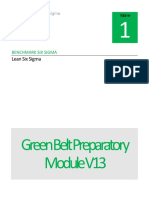 Green Belt Preparatory Module V13