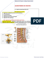 29 - Traumatismes Du Rachis
