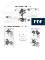 一年级科学考卷