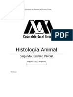 2do Examen de Histo Animal