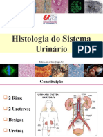 AULA Histologia_Sistema Urinário