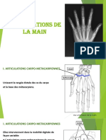 Articulations de La Main