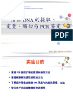 质粒DNA提取、定量、酶切与PCR鉴定