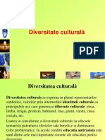 Diversitate culturală