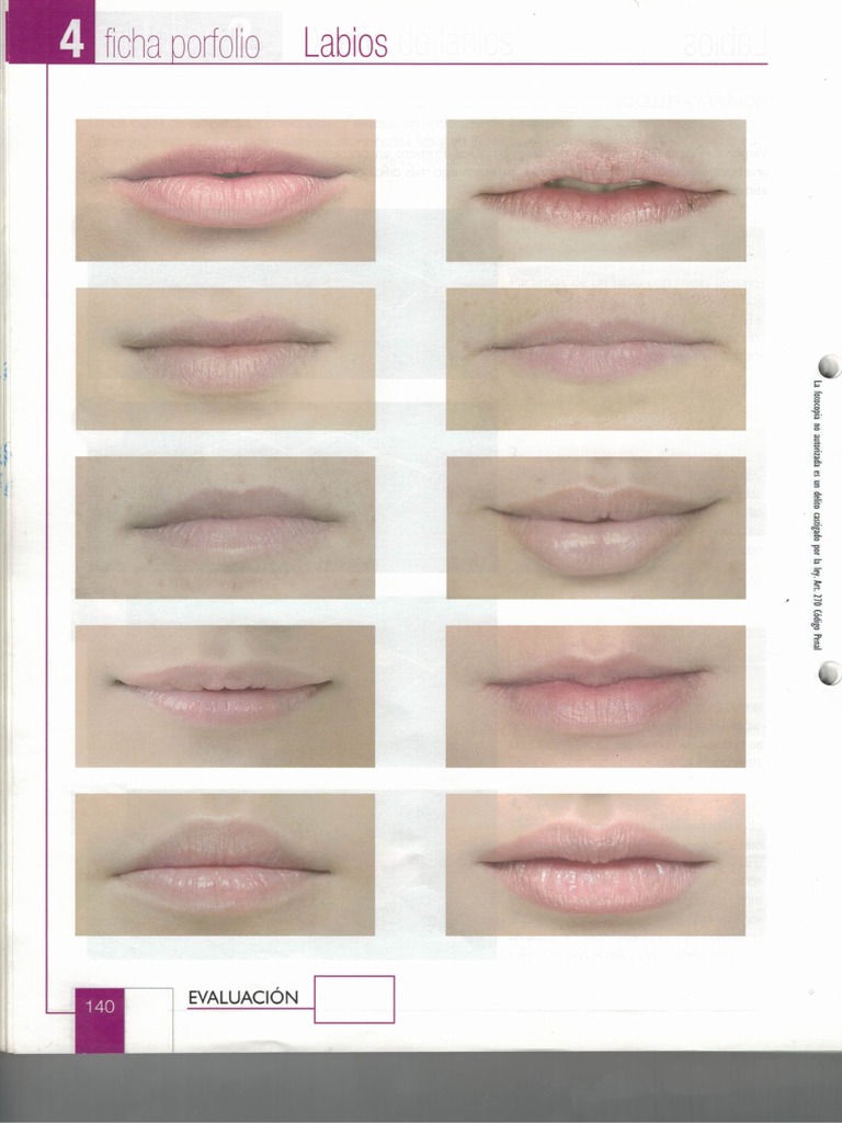 Los 7 Tipos De Labios – Tipos De Labios Que Existen – XNCUC