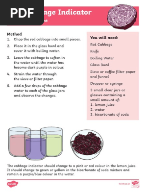 Science Experiment
