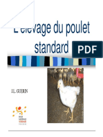 Elevage Du Poulet Standard