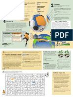 El Ciclo de Vida de Un Balon de Futbolr