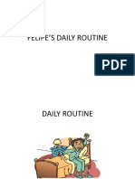 Felipe'S Daily Routine