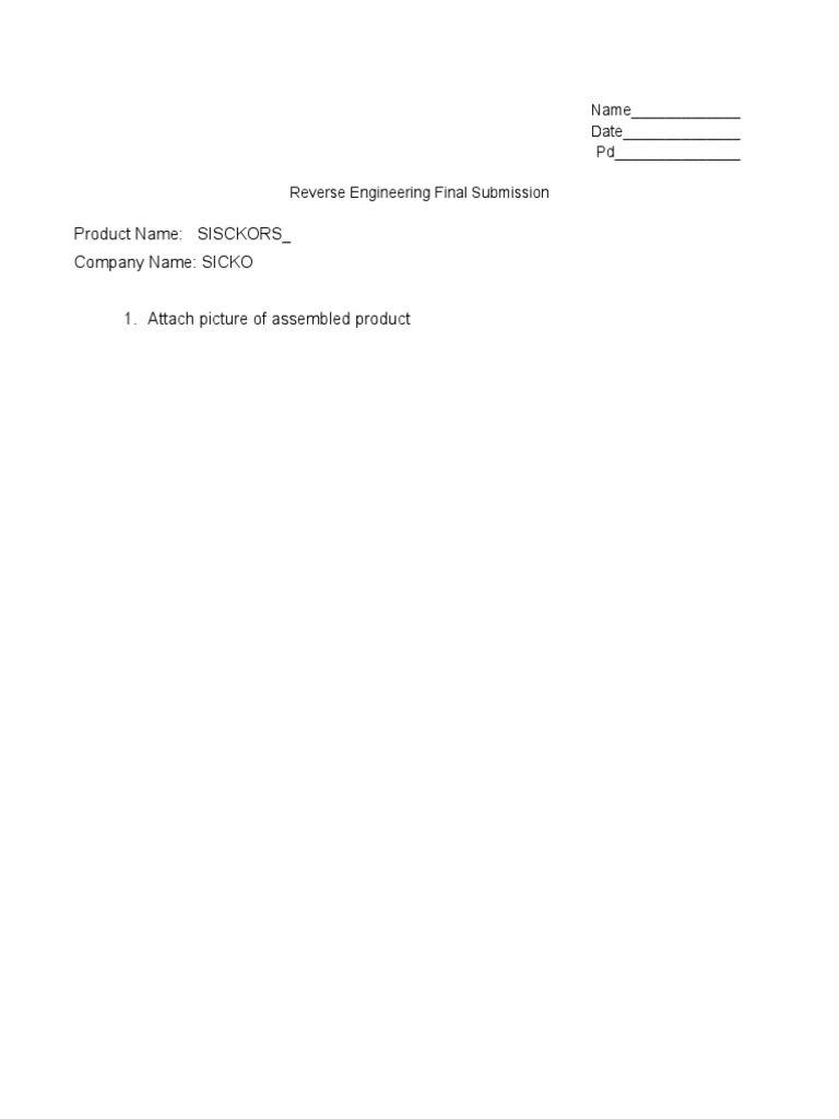 Reverse Engineering Project Submission | PDF | Computers