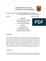 Reporte Practica 2 Bioorganica