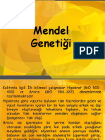 Mendel Genetigi Sunumu 41730