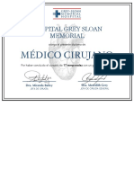 Diploma Grey's Anatomy